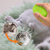 Steam Pet Brush