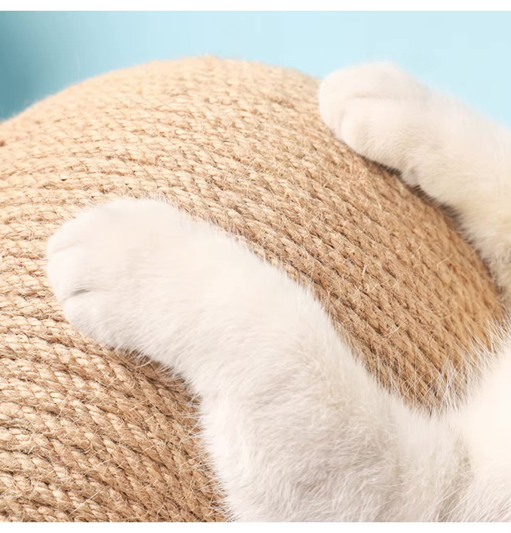Pet Scratching Ball