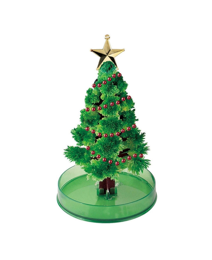 Magic Tree