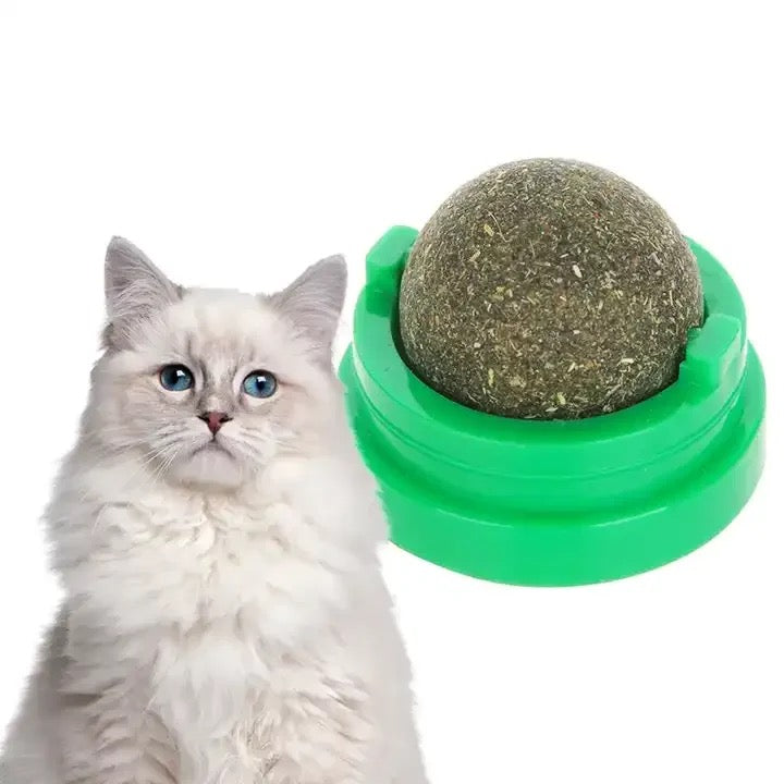 Catnip Ball